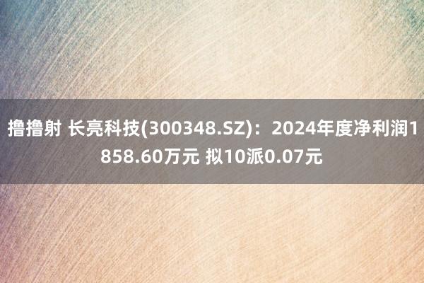 撸撸射 长亮科技(300348.SZ)：2024年度净利润1858.60万元 拟10派0.07元