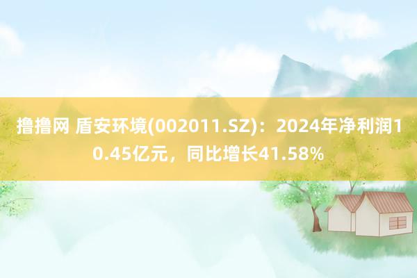 撸撸网 盾安环境(002011.SZ)：2024年净利润10.45亿元，同比增长41.58%