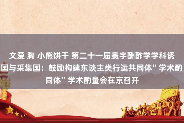 文爱 胸 小熊饼干 第二十一届寰宇酬酢学学科诱导年会暨“中国与采集国：鼓励构建东谈主类行运共同体”学术酌量会在京召开
