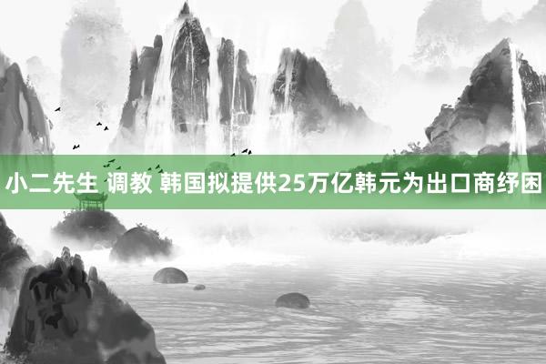 小二先生 调教 韩国拟提供25万亿韩元为出口商纾困