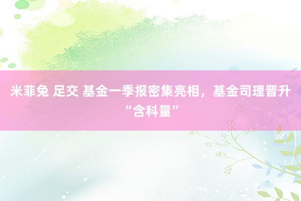 米菲兔 足交 基金一季报密集亮相，基金司理晋升“含科量”