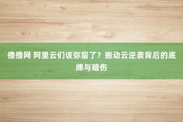 撸撸网 阿里云们该弥留了？搬动云逆袭背后的底牌与暗伤
