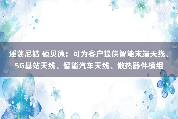 淫荡尼姑 硕贝德：可为客户提供智能末端天线、5G基站天线、智能汽车天线、散热器件模组