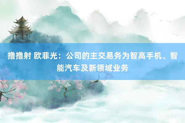 撸撸射 欧菲光：公司的主交易务为智高手机、智能汽车及新领域业务