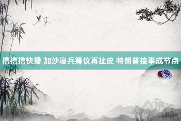 撸撸撸快播 加沙寝兵筹议再扯皮 特朗普接事成节点