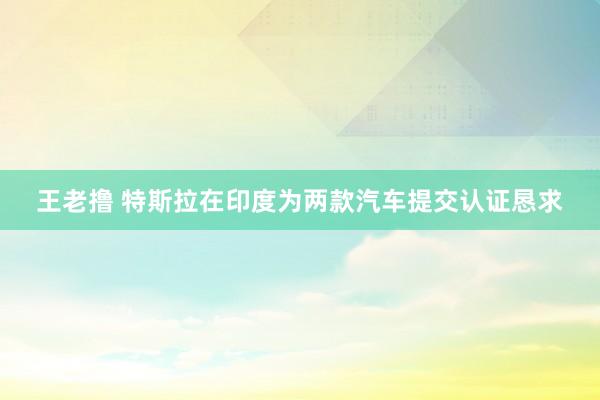 王老撸 特斯拉在印度为两款汽车提交认证恳求