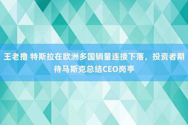 王老撸 特斯拉在欧洲多国销量连接下落，投资者期待马斯克总结CEO岗亭