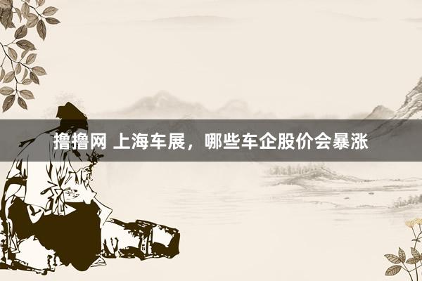 撸撸网 上海车展，哪些车企股价会暴涨