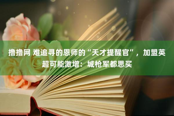 撸撸网 难追寻的恩师的“天才提醒官”，加盟英超可能激增：城枪军都思买