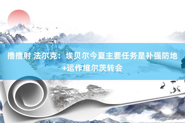 撸撸射 法尔克：埃贝尔今夏主要任务是补强防地+运作维尔茨转会
