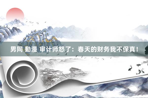 男同 動漫 审计师怒了：春天的财务我不保真！