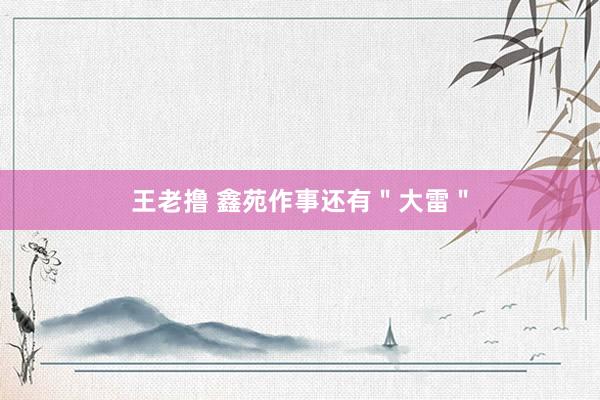 王老撸 鑫苑作事还有＂大雷＂