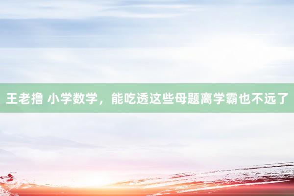 王老撸 小学数学，能吃透这些母题离学霸也不远了