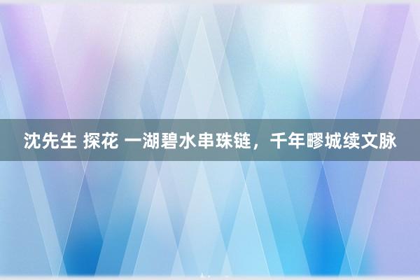 沈先生 探花 一湖碧水串珠链，千年疁城续文脉